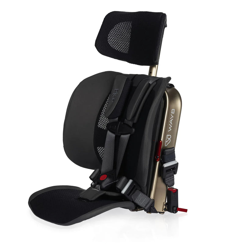 Load image into Gallery viewer, WAYB Pico Travel Car Seat
