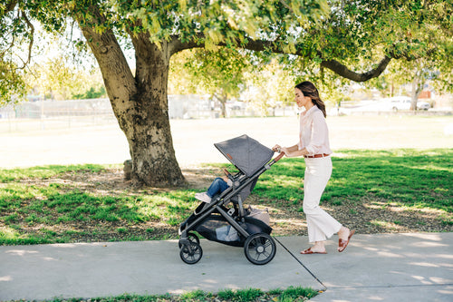 The UPPAbaby Vista V3 is here!