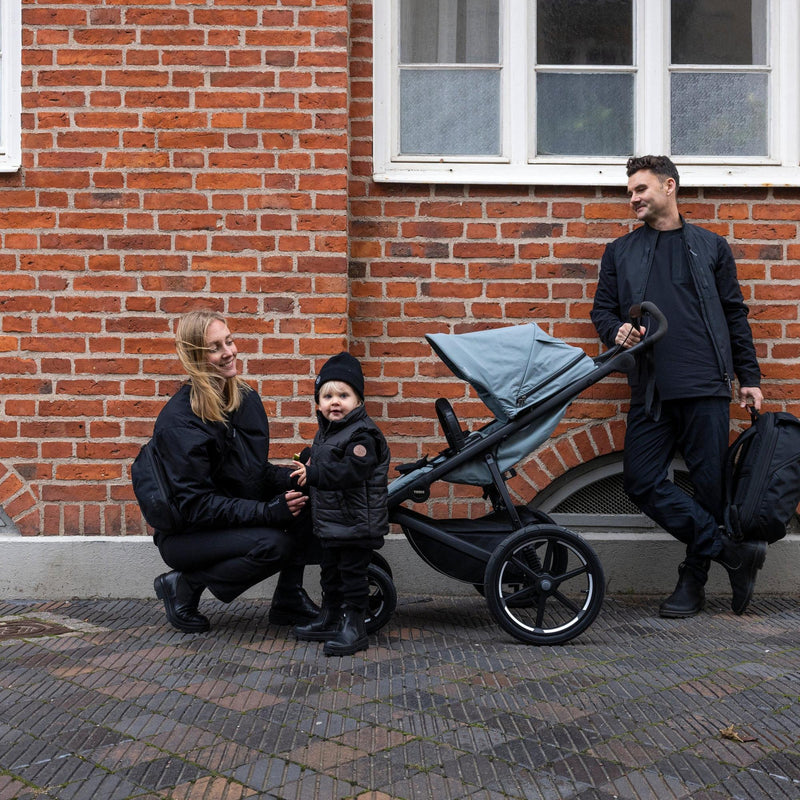 Load image into Gallery viewer, Thule Urban Glide 4-Wheel Stroller

