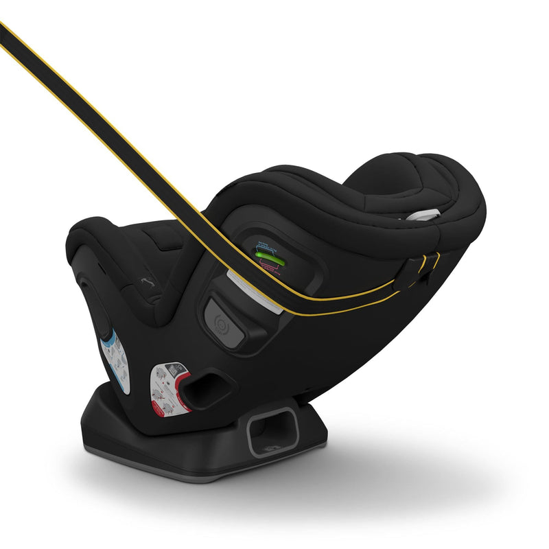 Load image into Gallery viewer, UPPAbaby Rove Convertible Car Seat
