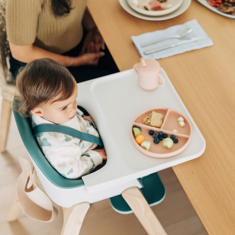 Load image into Gallery viewer, UPPAbaby Ciro High Chair
