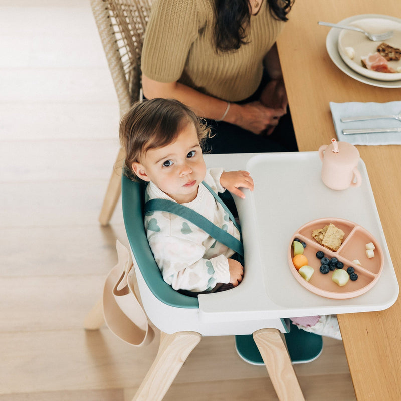 Load image into Gallery viewer, UPPAbaby Ciro High Chair
