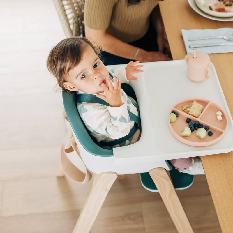 Load image into Gallery viewer, UPPAbaby Ciro High Chair
