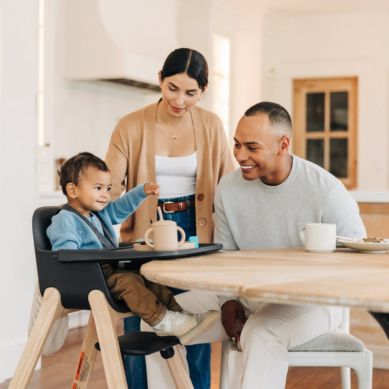 Load image into Gallery viewer, UPPAbaby Ciro High Chair
