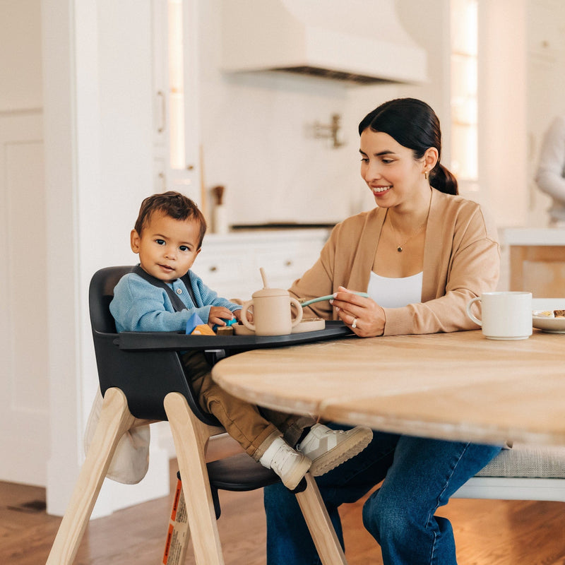 Load image into Gallery viewer, UPPAbaby Ciro High Chair
