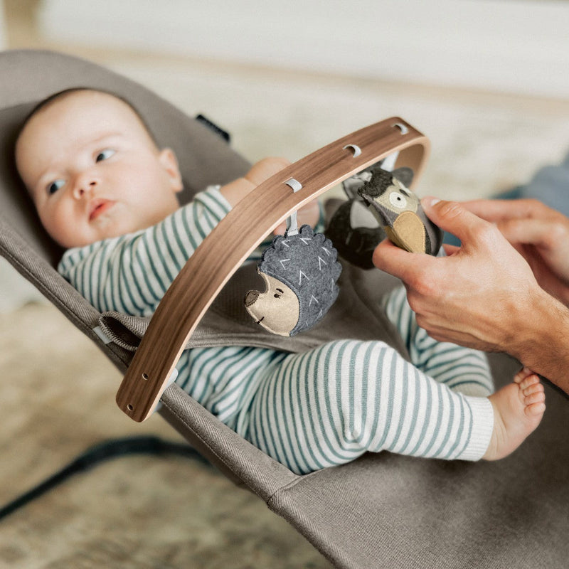 Load image into Gallery viewer, UPPAbaby Mira Bouncer Forest Fun Toy Bar
