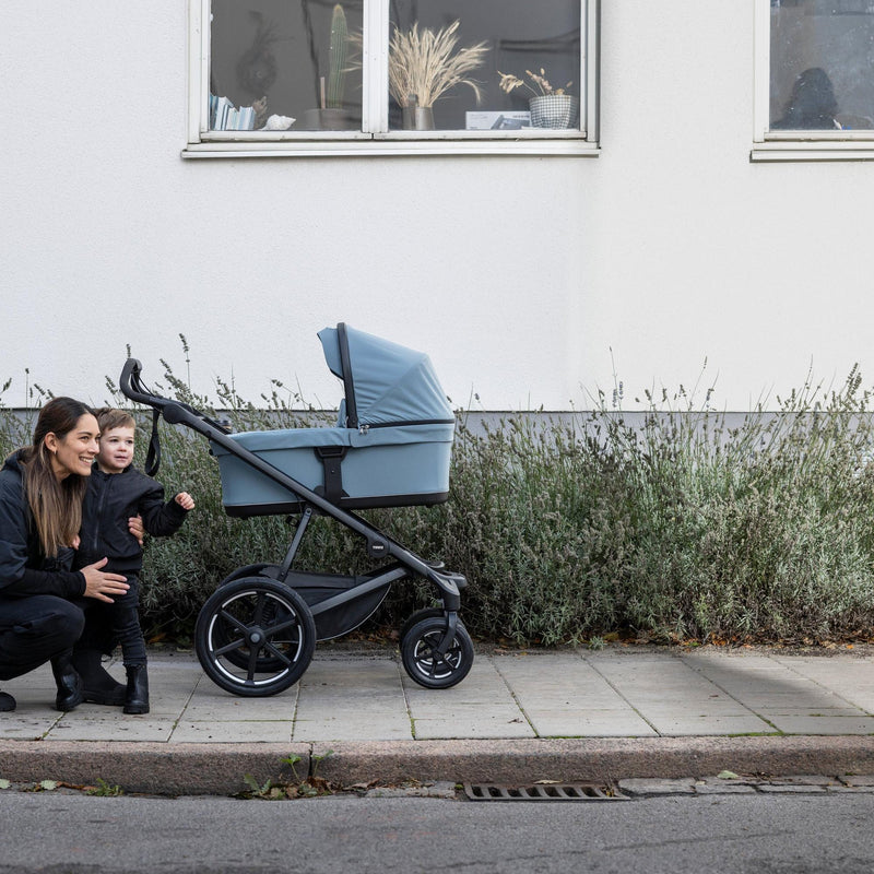 Load image into Gallery viewer, Thule Bassinet
