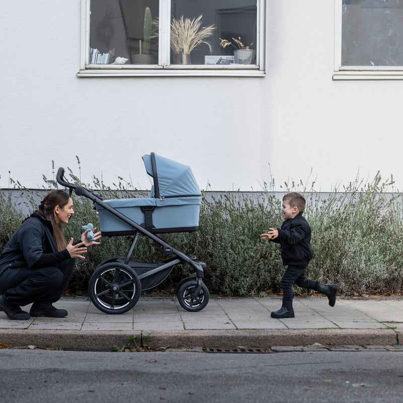 Load image into Gallery viewer, Thule Bassinet
