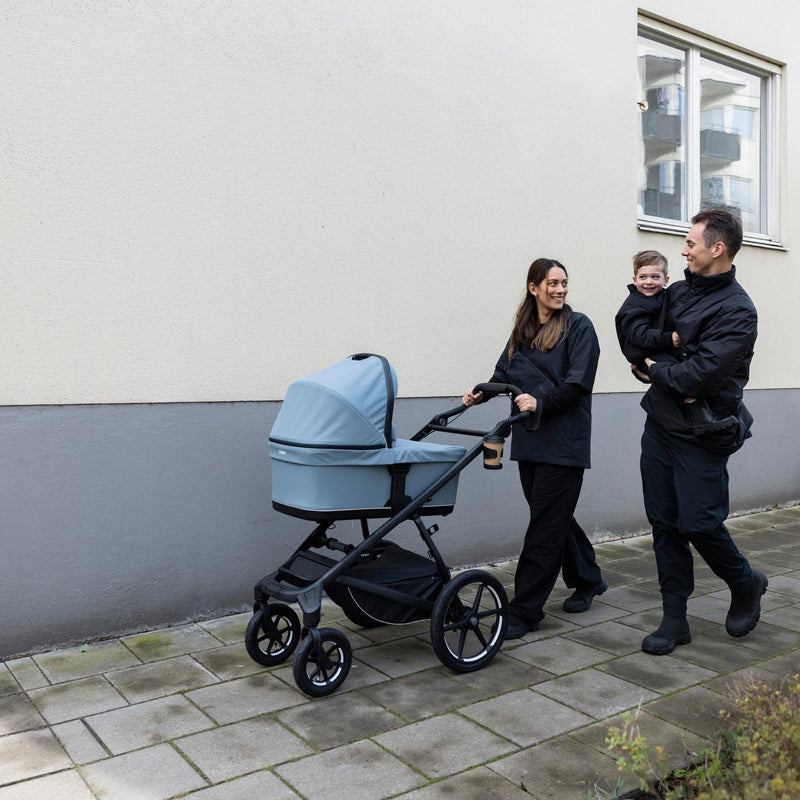 Load image into Gallery viewer, Thule Bassinet
