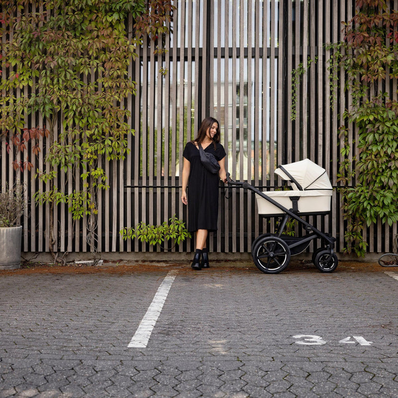 Load image into Gallery viewer, Thule Bassinet
