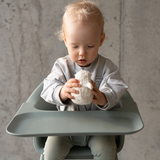 high chair stokke clikk Stokke Clikk High Chair – Babinski's Baby