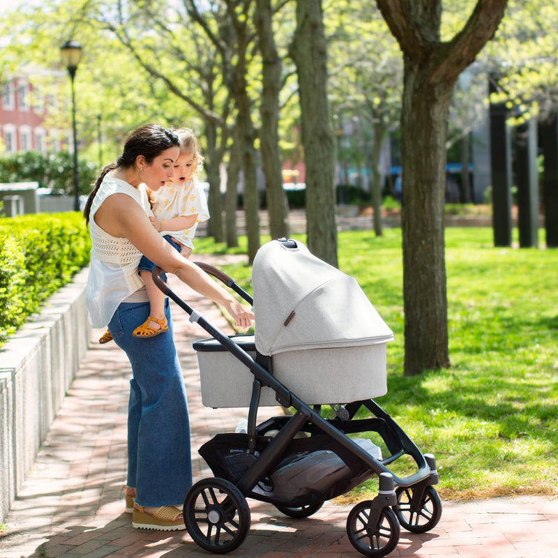 Load image into Gallery viewer, UPPAbaby Vista V2 Stroller | SAVE $200 WHILE SUPPLIES LAST
