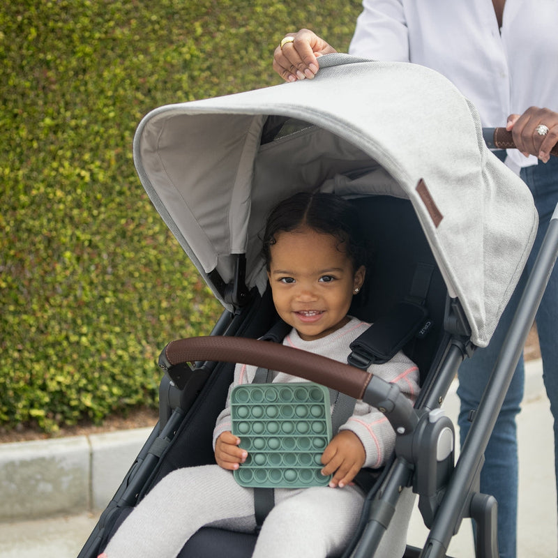 Load image into Gallery viewer, UPPAbaby Cruz V2 Stroller
