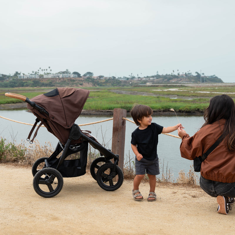 Load image into Gallery viewer, Bumbleride Indie Twin | All-Terrain Double Stroller
