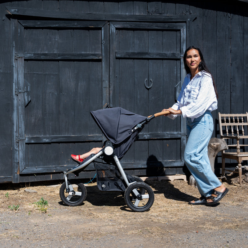 Load image into Gallery viewer, Bumbleride Indie All-Terrain Stroller
