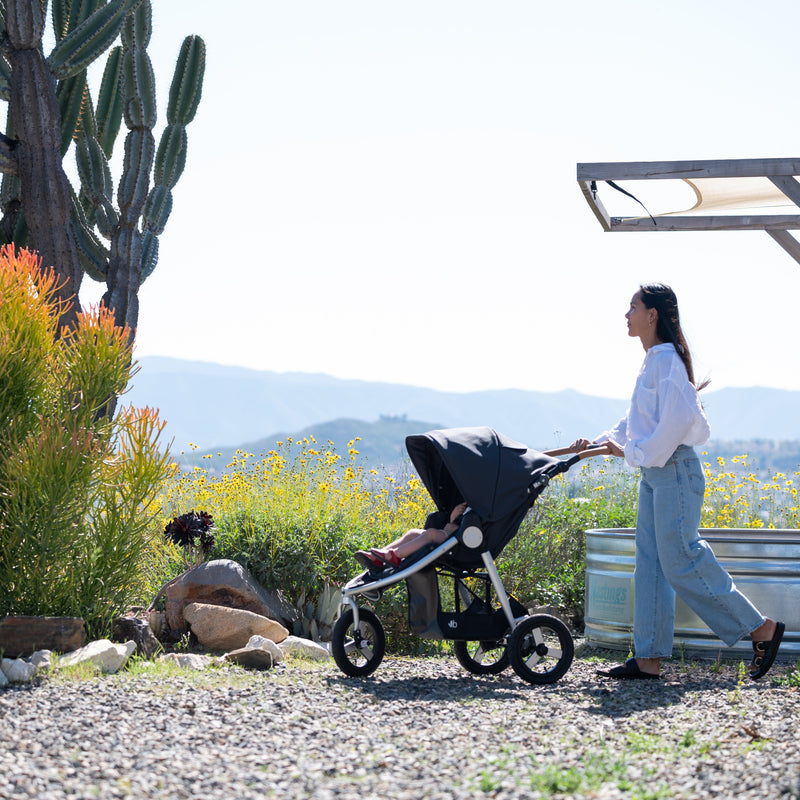 Load image into Gallery viewer, Bumbleride Indie All-Terrain Stroller
