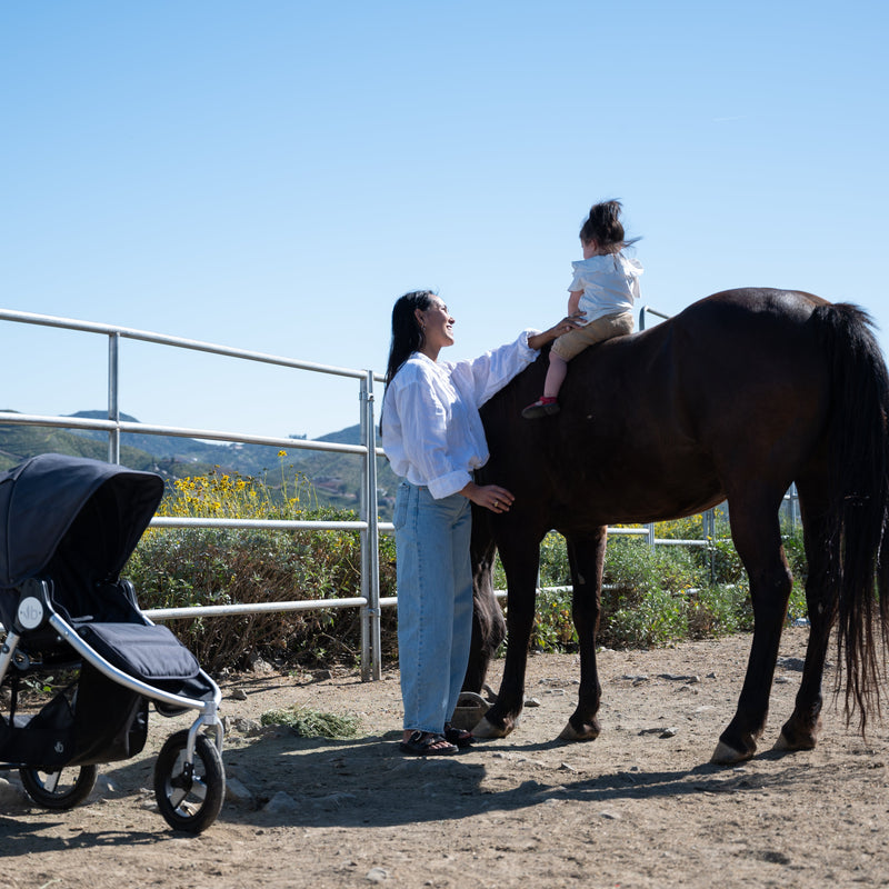 Load image into Gallery viewer, Bumbleride Indie All-Terrain Stroller
