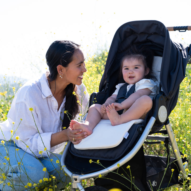 Load image into Gallery viewer, Bumbleride Indie All-Terrain Stroller
