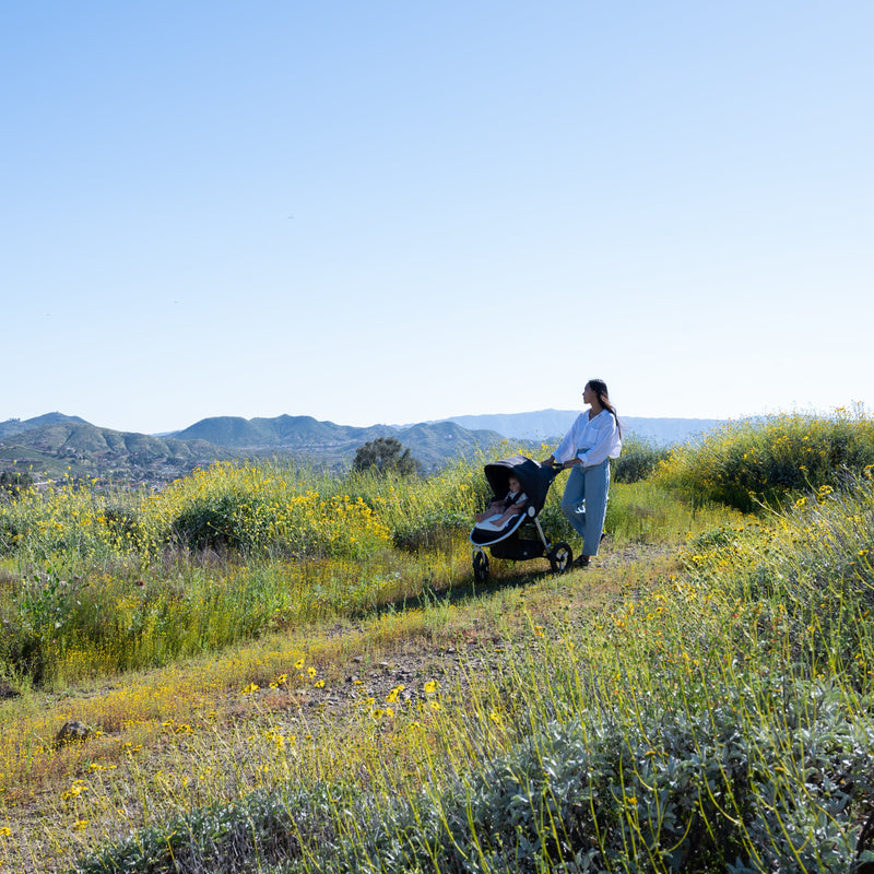 Load image into Gallery viewer, Bumbleride Indie All-Terrain Stroller
