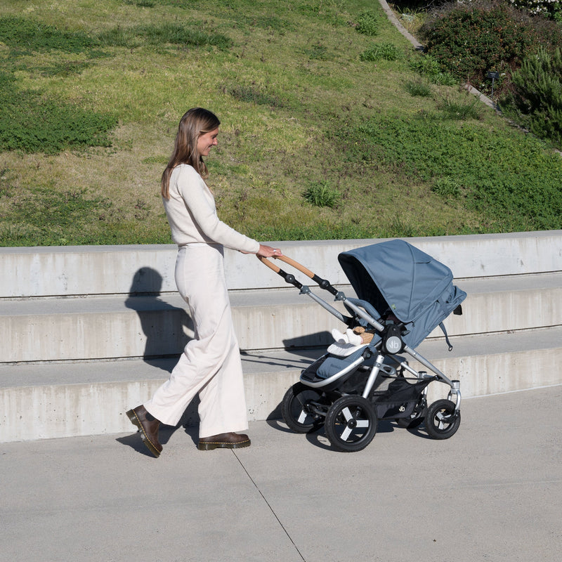 Load image into Gallery viewer, Bumbleride Era Full-Size Reversible Stroller
