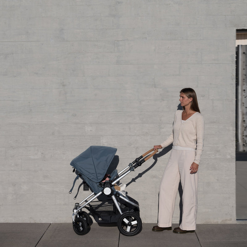 Load image into Gallery viewer, Bumbleride Era Full-Size Reversible Stroller
