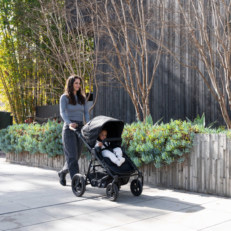 Load image into Gallery viewer, Bumbleride Era Full-Size Reversible Stroller
