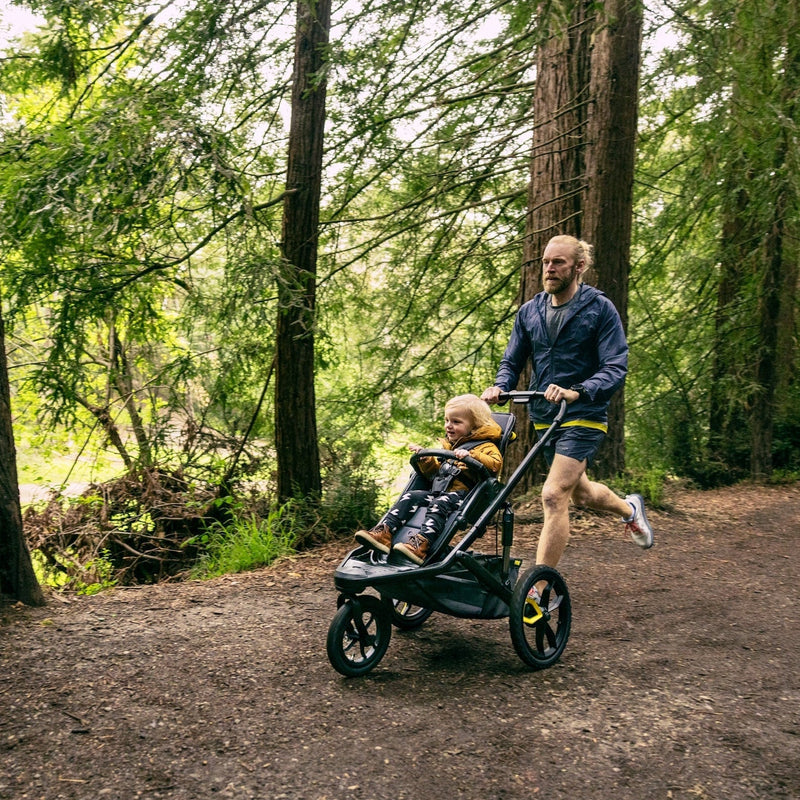 Load image into Gallery viewer, Veer &amp;Jog Frame for Switchback Seat
