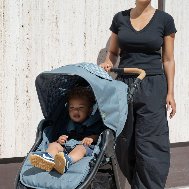 Load image into Gallery viewer, Bumbleride Indie Stroller | NEW!
