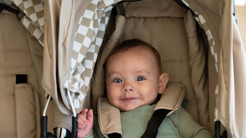 Load image into Gallery viewer, Bumbleride Indie Twin All-Terrain Stroller
