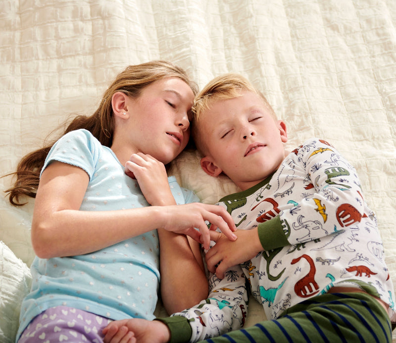 Load image into Gallery viewer, Moonlight Slumber Little Dreamer Deluxe Twin/Full Mattress
