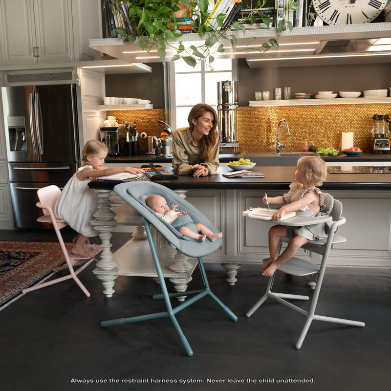 Load image into Gallery viewer, Cybex Lemo 4-in-1
