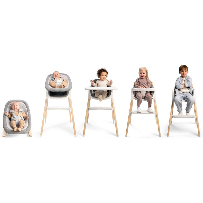 Load image into Gallery viewer, Nuna BRYN Newborn Rocker
