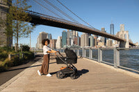 Nuna Mixx Bassinet + Stand