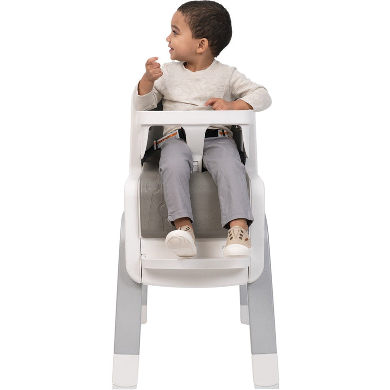 Load image into Gallery viewer, Nuna Zaaz High Chair
