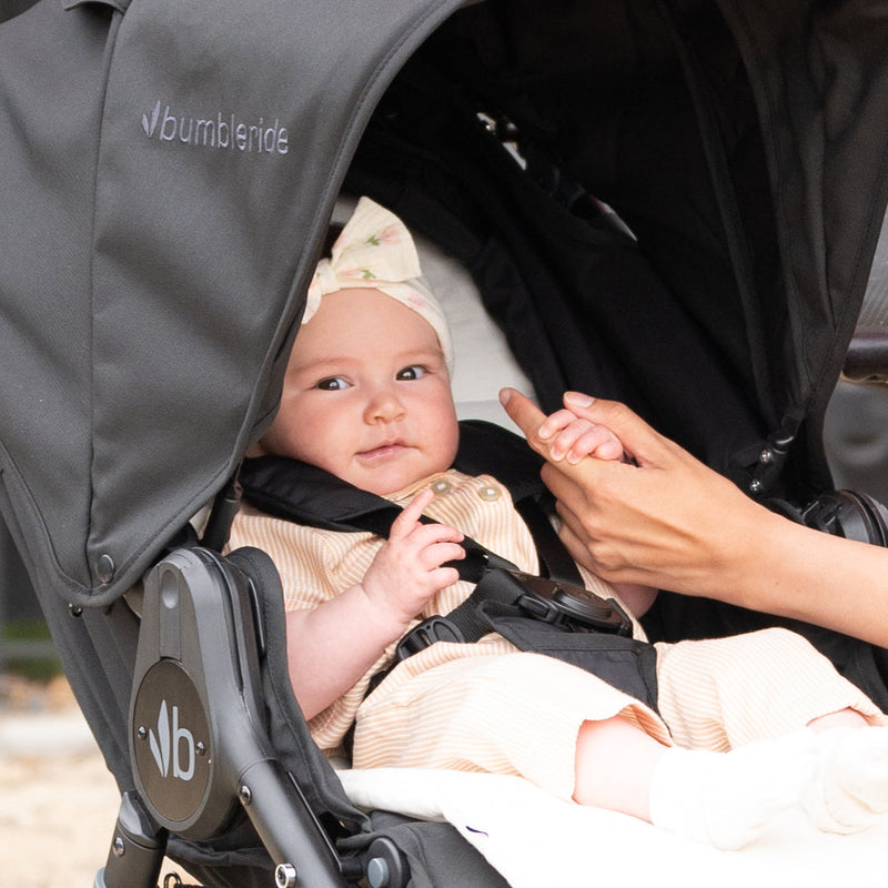 Load image into Gallery viewer, Bumbleride Organic Cotton Seat Liner
