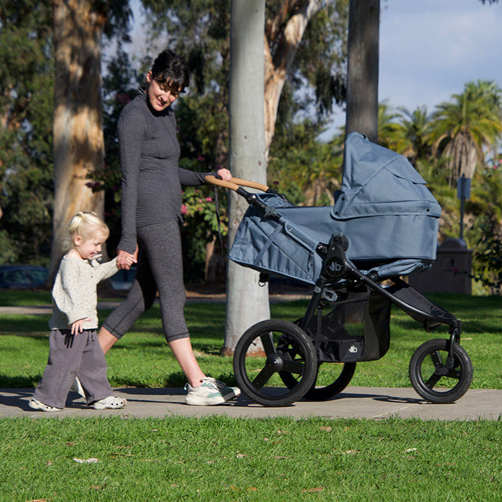 Load image into Gallery viewer, Bumbleride Speed Jogging Stroller
