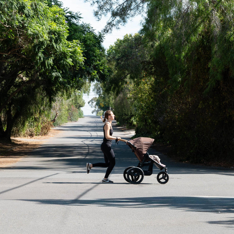 Load image into Gallery viewer, Bumbleride Speed Stroller | NEW!
