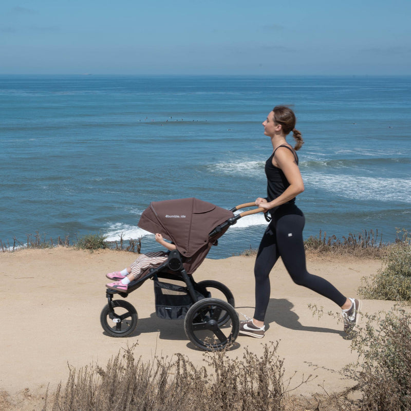 Load image into Gallery viewer, Bumbleride Speed Stroller | NEW!
