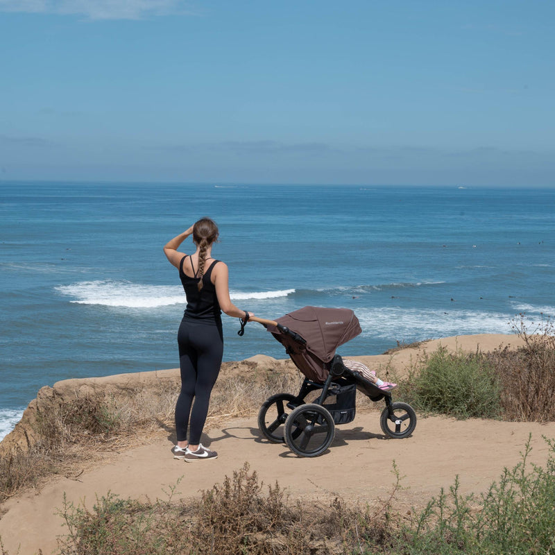 Load image into Gallery viewer, Bumbleride Speed Stroller | NEW!
