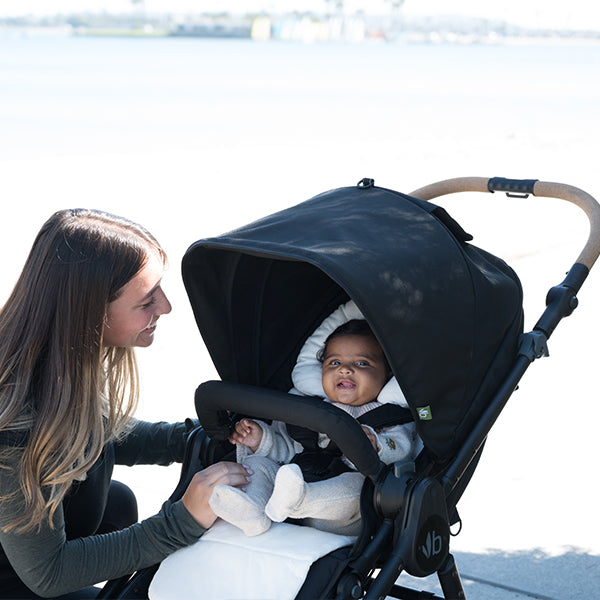 Load image into Gallery viewer, Bumbleride Organic Cotton Infant Insert
