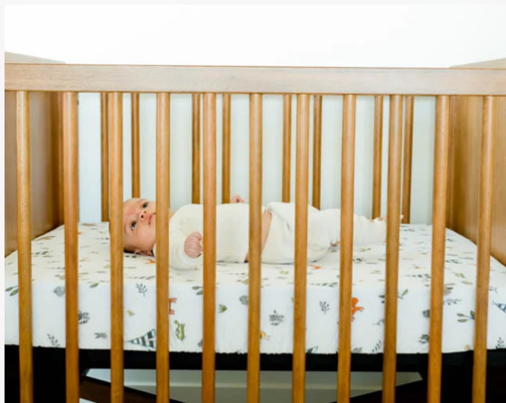 Load image into Gallery viewer, Little Unicorn Cotton Muslin Crib Sheet - Forest Friends
