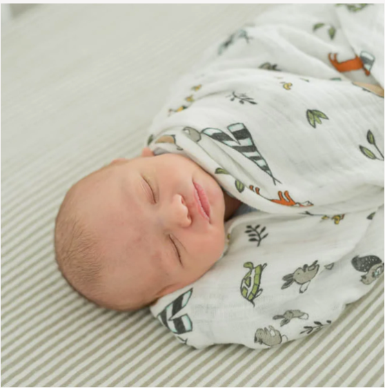 Little Unicorn Cotton Muslin Single Swaddle - Forest Friends