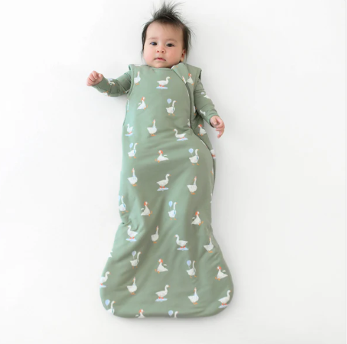 Kyte Baby Sleep Bag 1.0 - Silly Goose