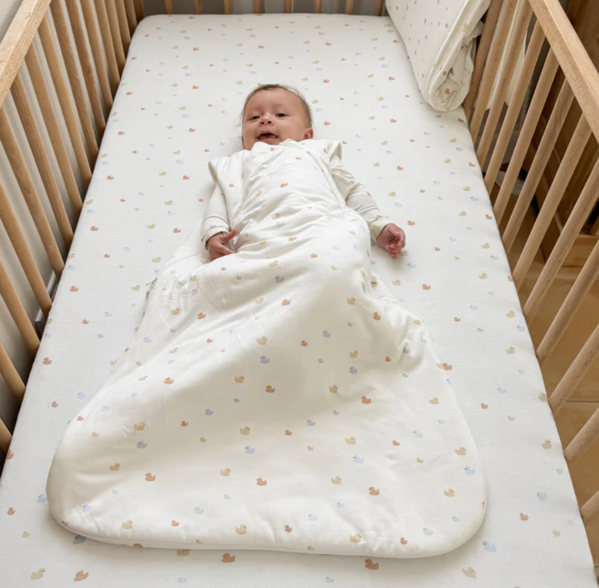 Gunamuna Sleep Bag 1.0 Ducks 3-9M