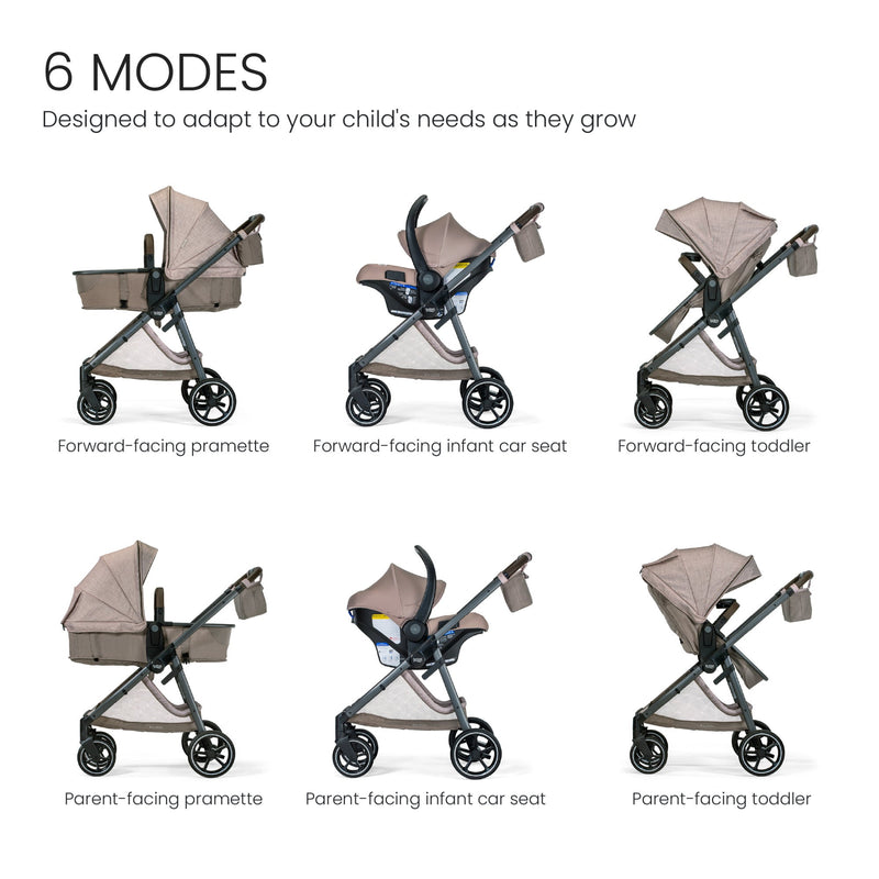 Load image into Gallery viewer, Britax Phases Travel System with Arbor Infant Car Seat + StayTight Base
