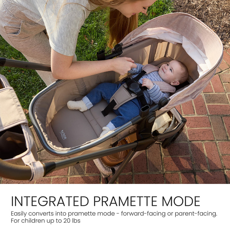 Load image into Gallery viewer, Britax Phases Travel System with Arbor Infant Car Seat + StayTight Base
