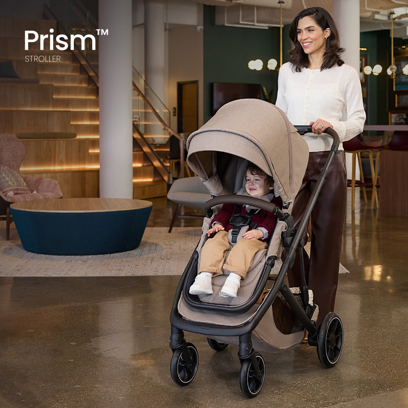 Load image into Gallery viewer, Britax Prism Full-Size Modular Stroller

