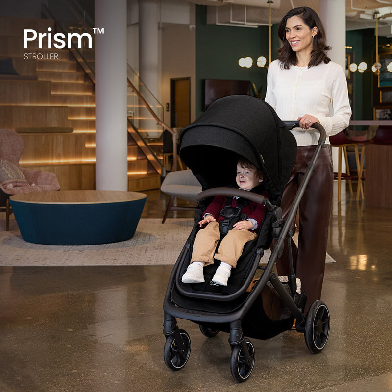 Load image into Gallery viewer, Britax Prism Full-Size Modular Stroller
