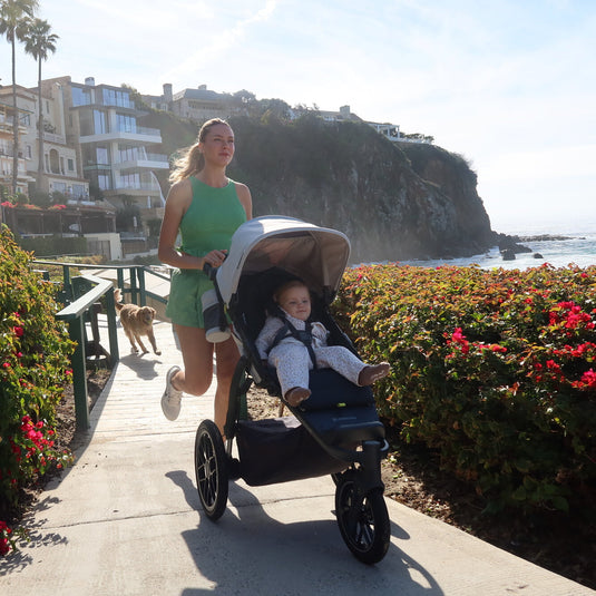 UPPAbaby Ridge V2 All-Terrain Stroller (Coming Soon!)