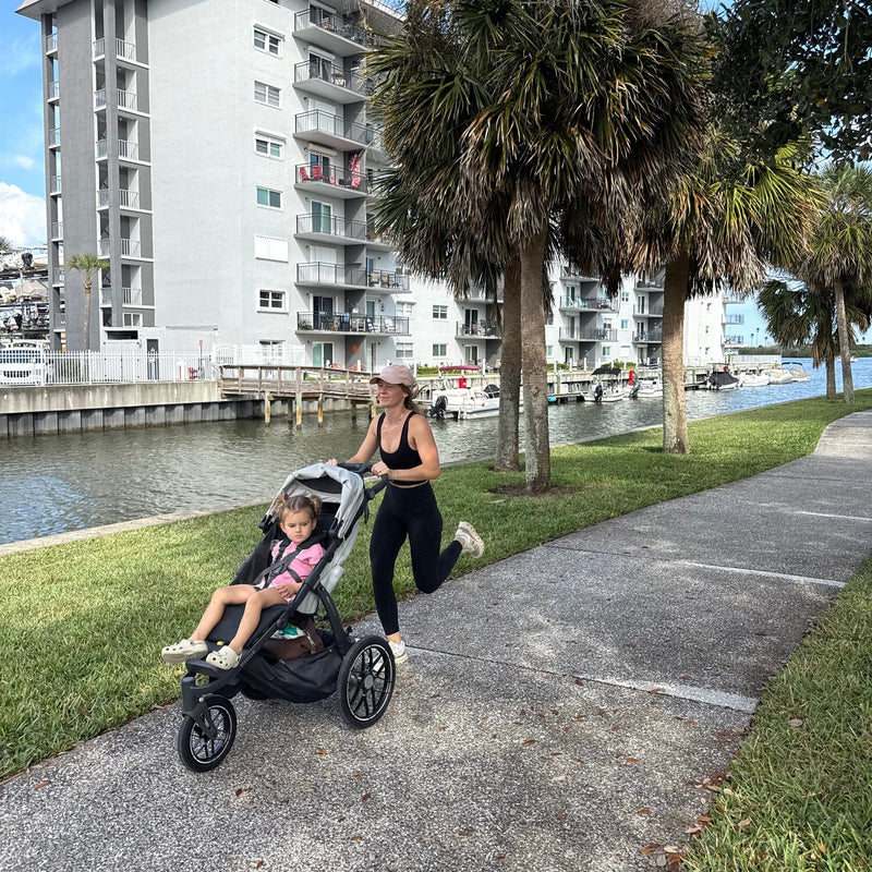 Load image into Gallery viewer, UPPAbaby Ridge V2 All-Terrain Stroller (Coming Soon!)
